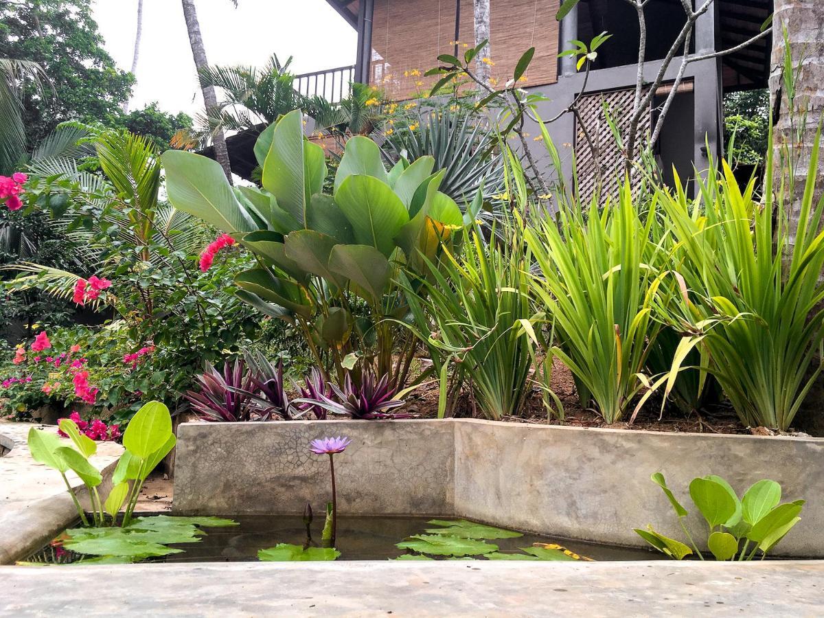 Casa Vana Hiriketiya Dikwella Luaran gambar